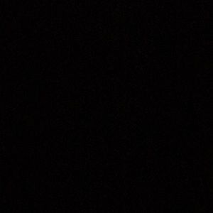 Meet your Posher, Evelyn